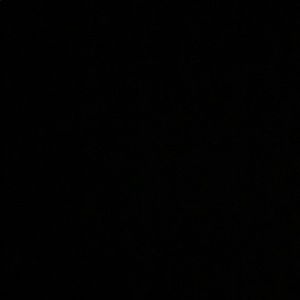 Meet your Posher, Jessi